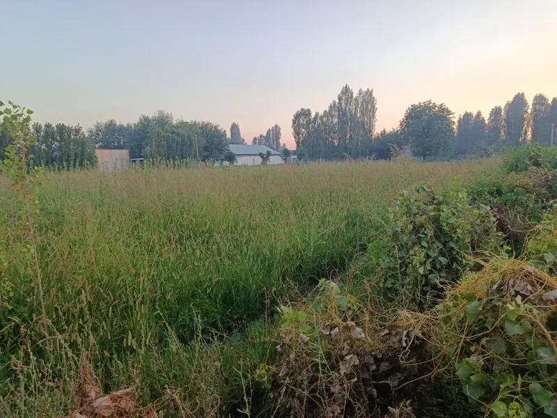 Uchaska sotiladi manzil Toshkent viloyati Boʻka tumani Lesinka qishlog 4 Uchaska sotiladi manzil Toshkent viloyati Boʻka tumani Lesinka qishlog 4