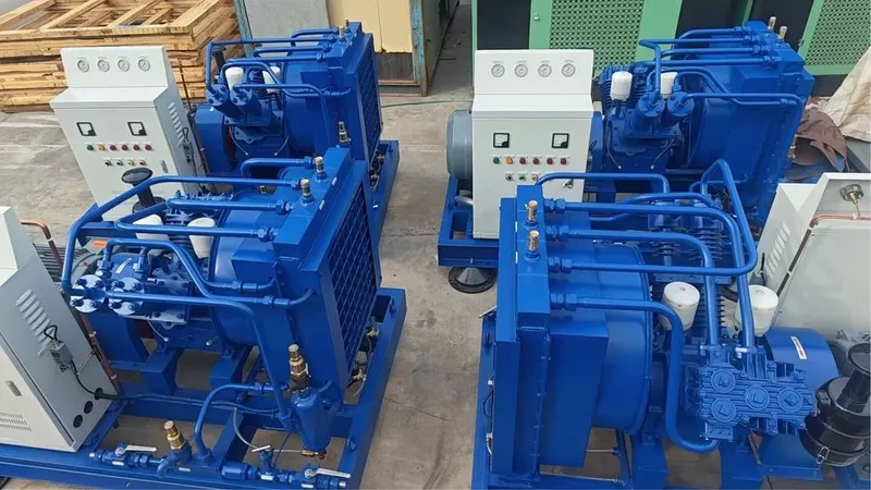 Havo kompressori gaz Laboratoriyasi uchun — фото 2