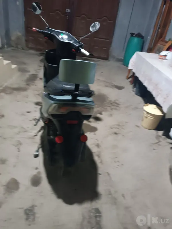 Sukutr sotladi narhi 200$ 3 Sukutr sotladi narhi 200$ 3