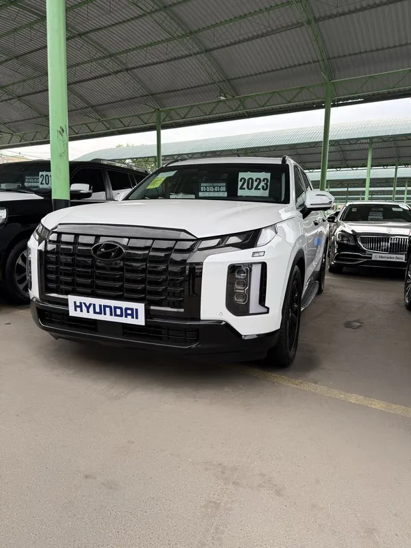 Hyundai Palisade 2023/24 gibirid