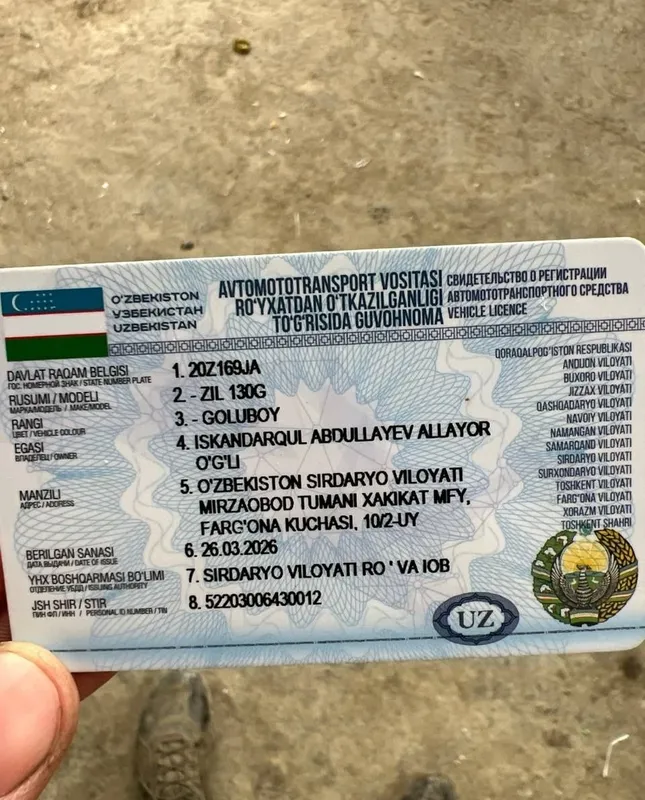 Zil dilinamer yahwi 2 Zil dilinamer yahwi 2