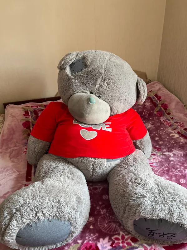 Teddiy ayiqcha kotta hajimda muomosi yoq yaxshi Teddiy ayiqcha kotta hajimda muomosi yoq yaxshi