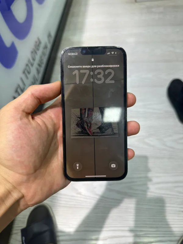13 pro 1
