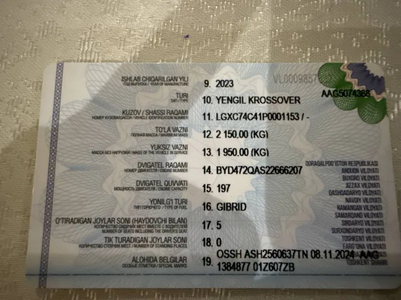 BYD. Son plus gibrid 2- позиция 6 BYD. Son plus gibrid 2- позиция 6