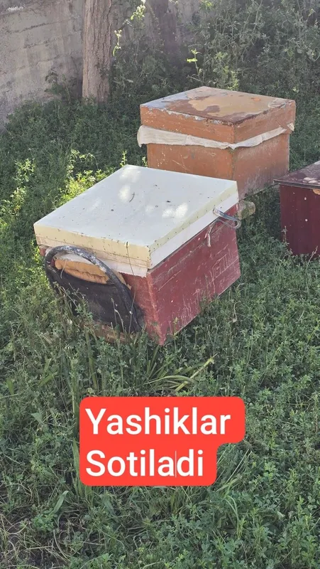 2 talikham yashiklar ham bor