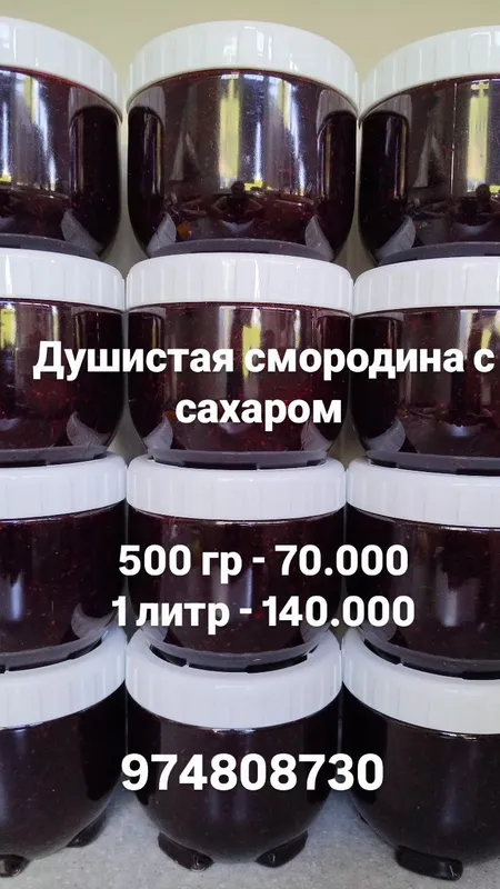 Смородина черная Иссыккуль 3