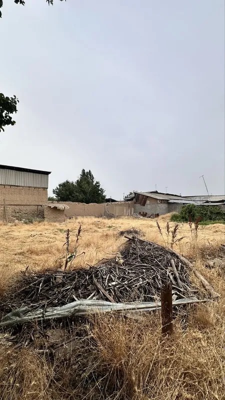 Keles olmazor kochada tezlik bilan yer sotiladi — фото 2