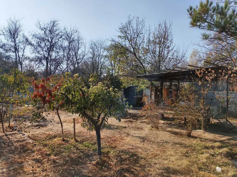 Срочно продается своя дача 9соток Ташморе Бургалик — фото 2
