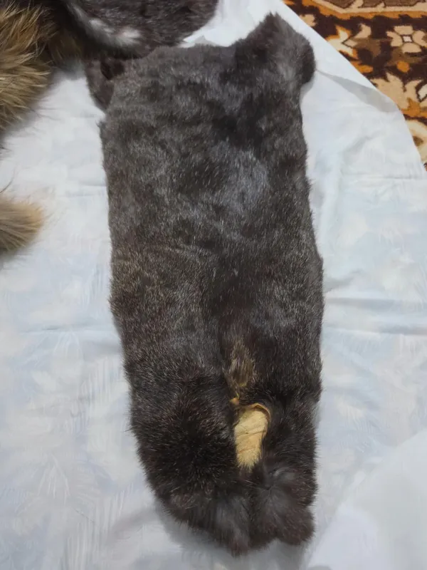 мех зайца 1 мех зайца 1