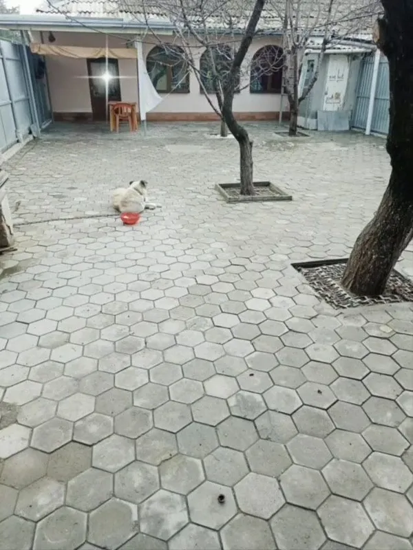 На смски не отвечаю звоните пожалуйста — фото 1