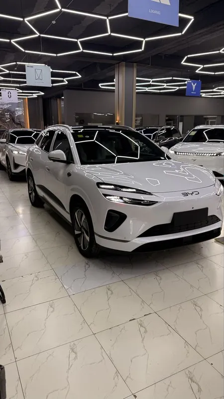 Byd selion 06 electir 605