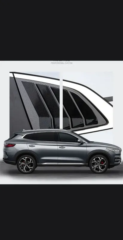 Byd song plus champion 1