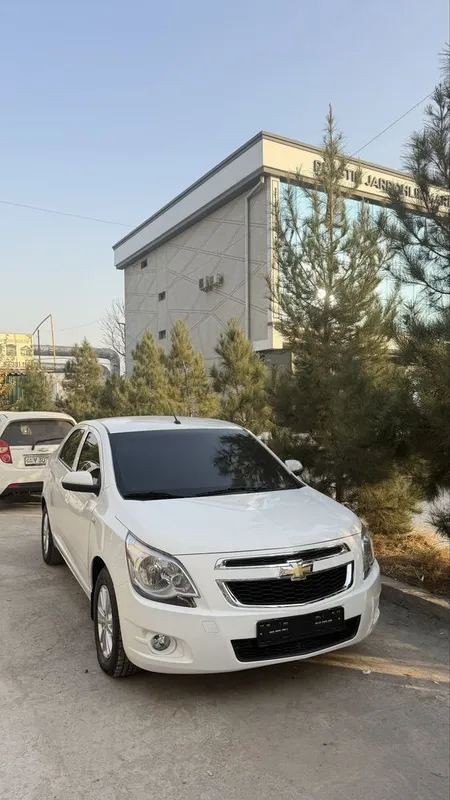 cobolt 2023 full cobolt 2023 full