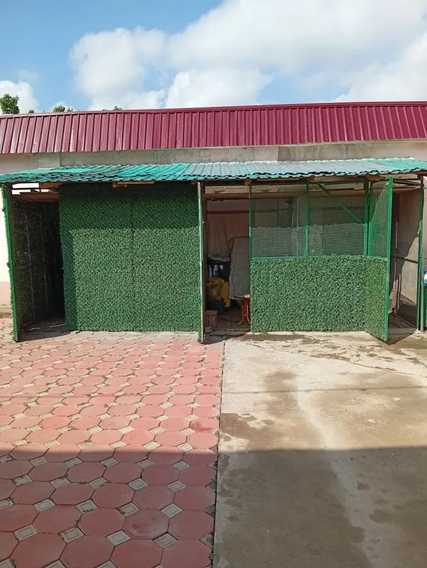 Продам большой вольер — фото 1