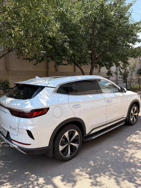 Byd kraska top toza Byd kraska top toza