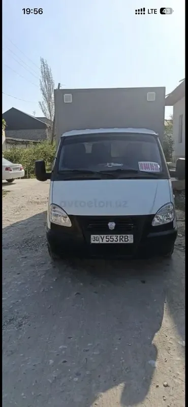 Gazel yili 2019 holati ideal 3