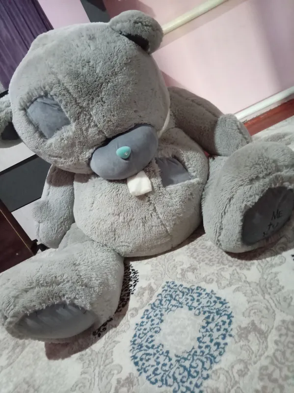 Teddey ayiqcha sotiladi. Teddey ayiqcha sotiladi.