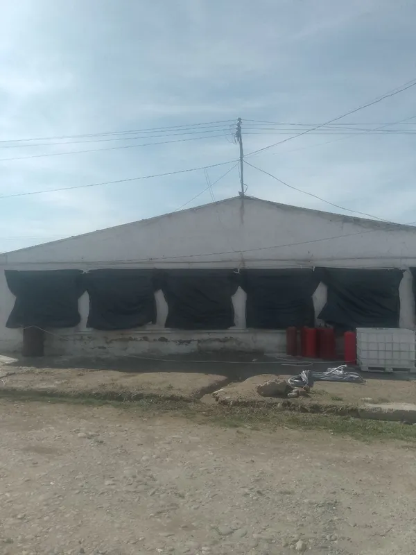 Broller Tovuq boqish uchun Tovuq hona Ijaraga beriladi — фото 3