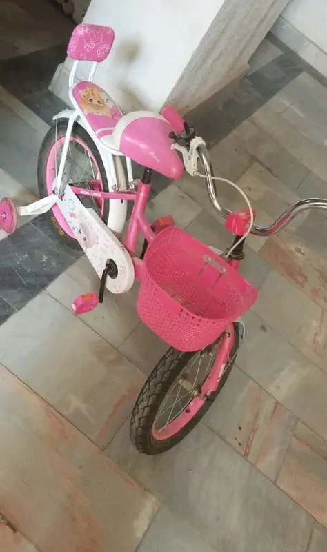 velosiped bor yo‘g‘i bir marta haydalgan — фото 2