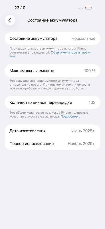 iPhone 16 Pro Max 256GB. 100% — фото 7