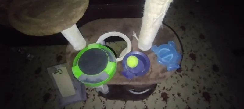 Кошкин дом, домики для кошек 4 Кошкин дом, домики для кошек 4