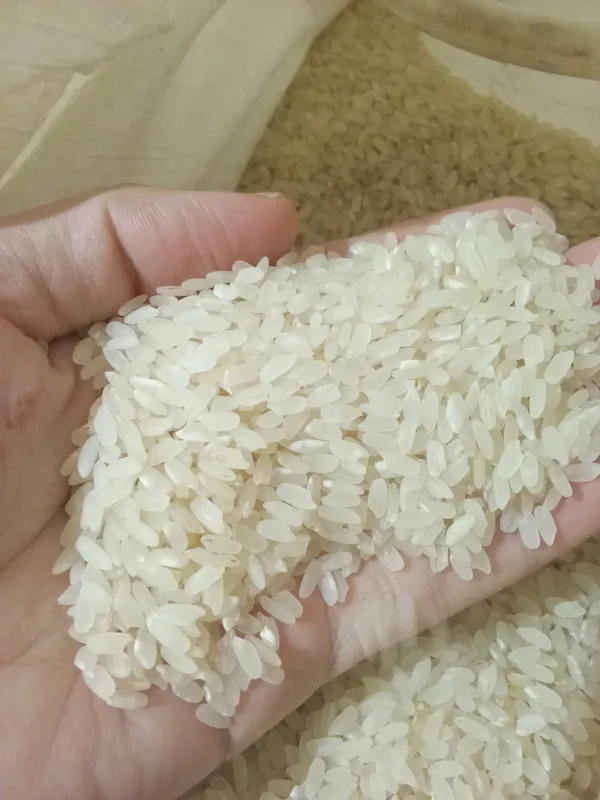 Guruchlarimiz sotiladi lazer 20 ming alanga 18 min — фото 1