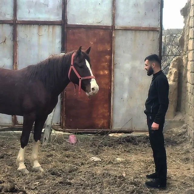 Ot sotiladi Mustang narx 30million qogan telda gaplawiladi — фото 1