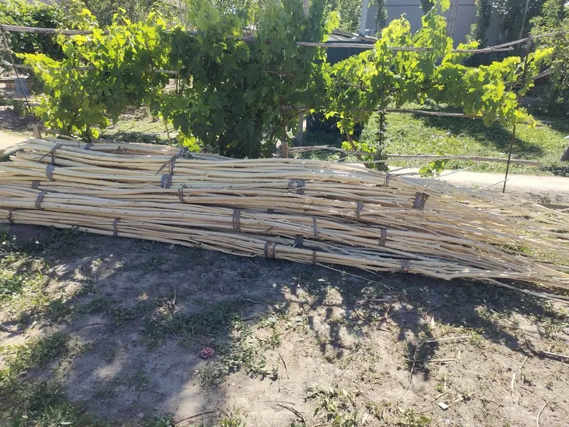 Qadalar satiladi 350 shtuk. Qadalar satiladi 350 shtuk.