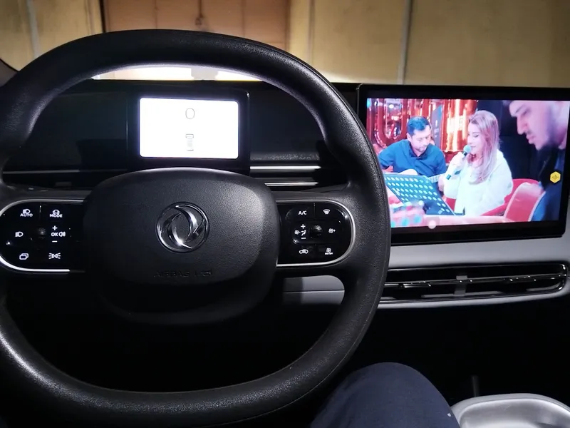 Dongfeng nammi 01 5