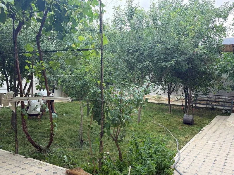 Продаю участок в келес АТП парсез