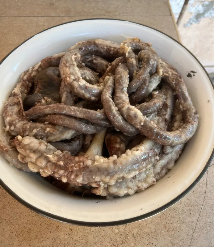 Qo’ylar, qassob, kalla pocha hasip — фото 4