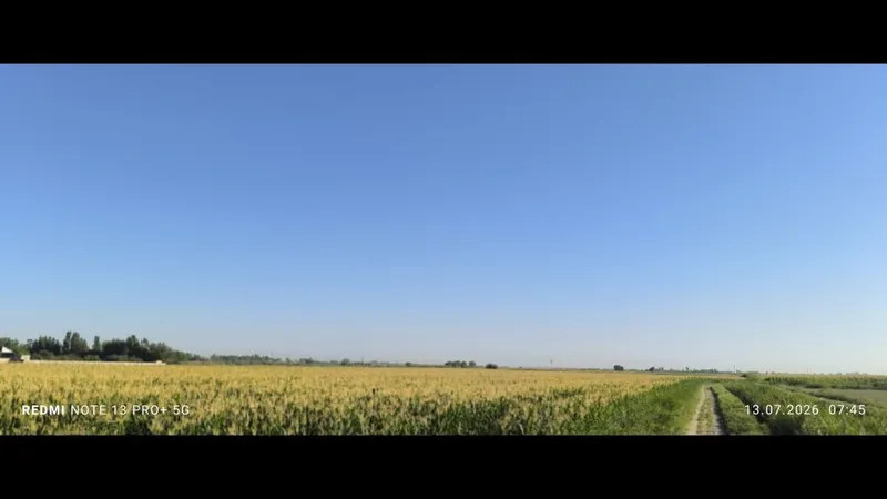 Chorva mollari uchun sifatli don siloslari.Dastafka xizmatlari mavjud. 5 Chorva mollari uchun sifatli don siloslari.Dastafka xizmatlari mavjud. 5