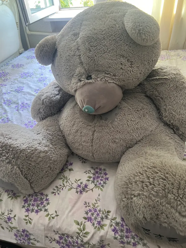 Teddy ayiq 2