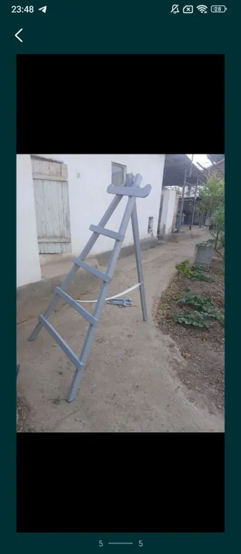 Norvon sotiladi yaponiski uzunliki 2 yarim metir