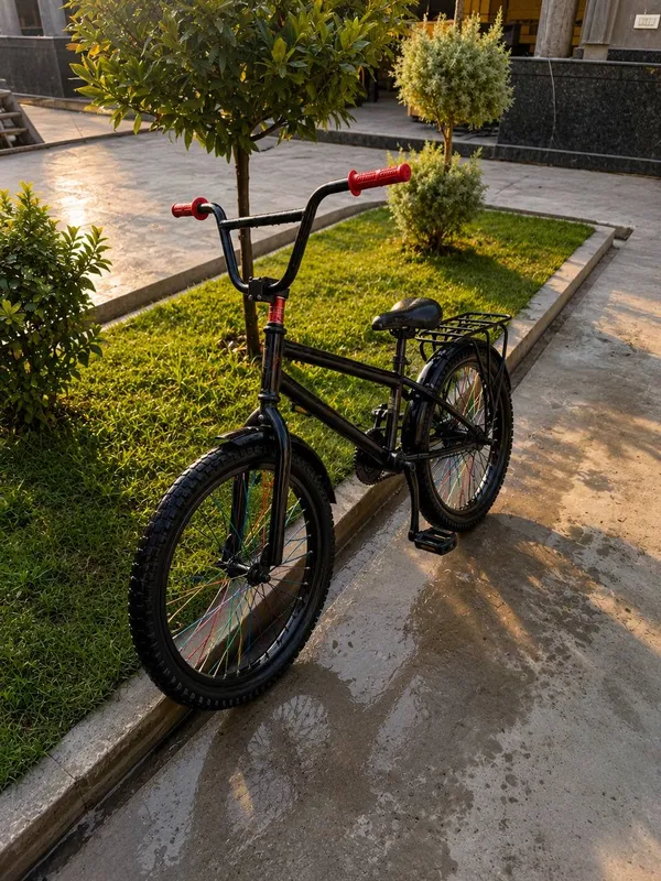 Velosiped 500 ming