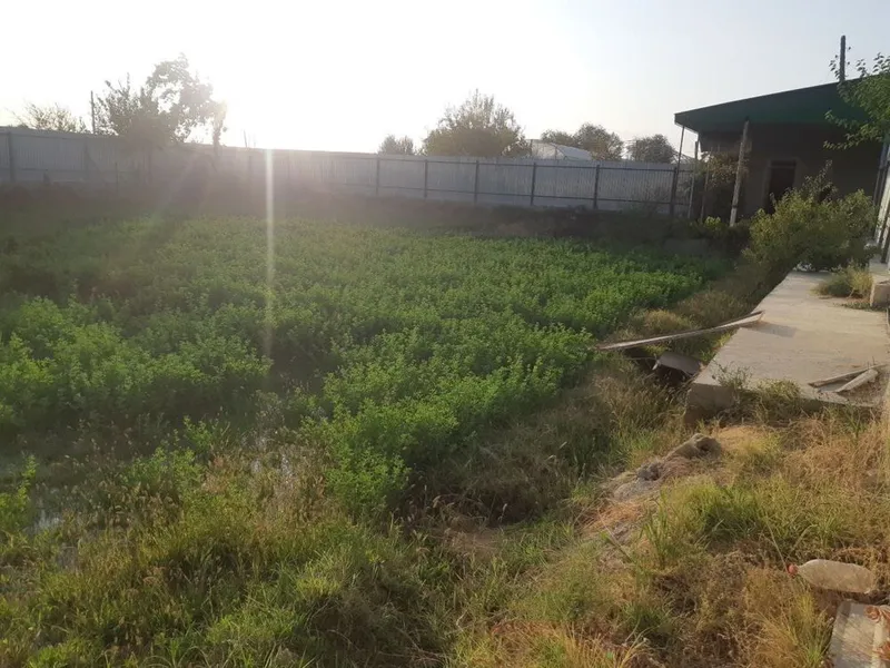kodastir hujjatlari joyida