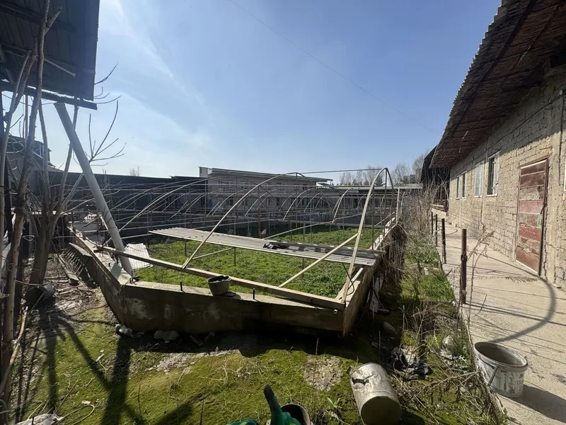 Srochno Tayyor Ferma arzon narxda sotiladi — фото 4