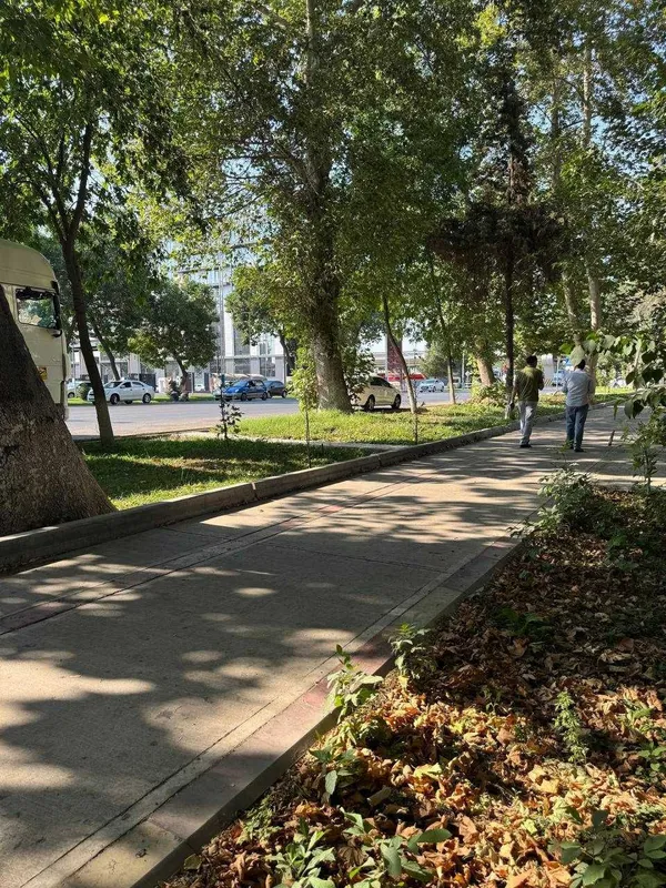 СРОЧНО ! Продается нежылая помешения в Яшнабаде (30 кв/м) Авиасозлар 4 — фото 9