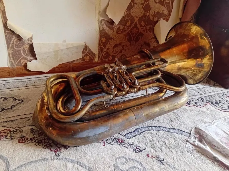 Muzikalni instrument — фото 1