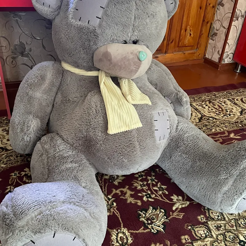 Teddy Juda katta Ayiq Srochnaga sotiladi