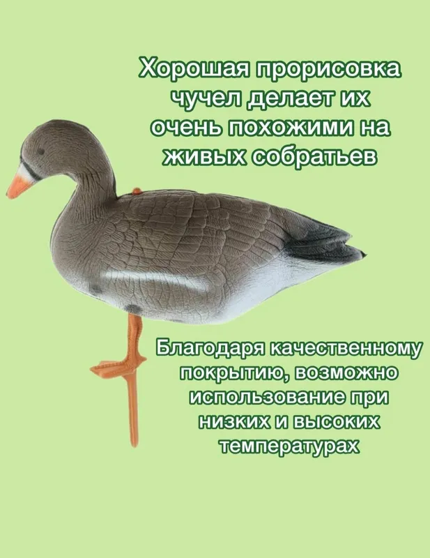 Чучела гусей, ғоз чучеласи комплект 10 дона — фото 2