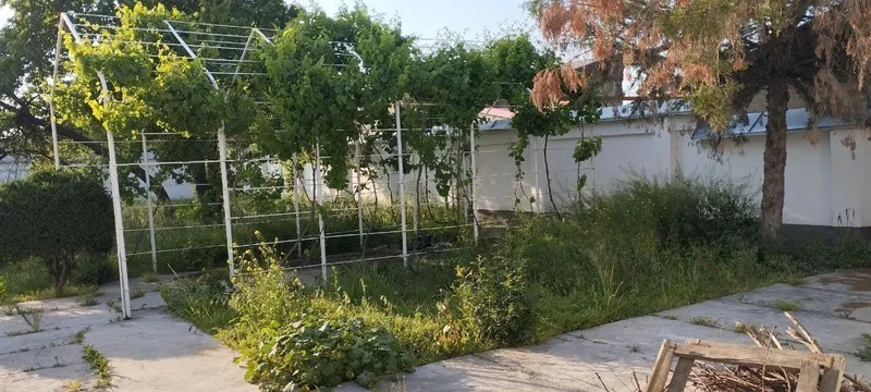 Dacha sotiladi‼️ 4