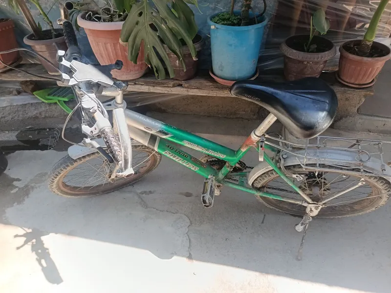 Philips velosiped