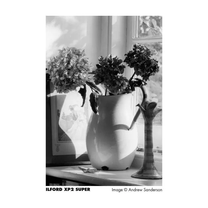 ILFORD XP2 400 Black & White Film 35mm — фото 1