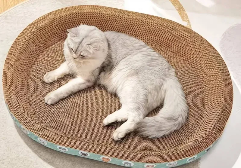 Домашний