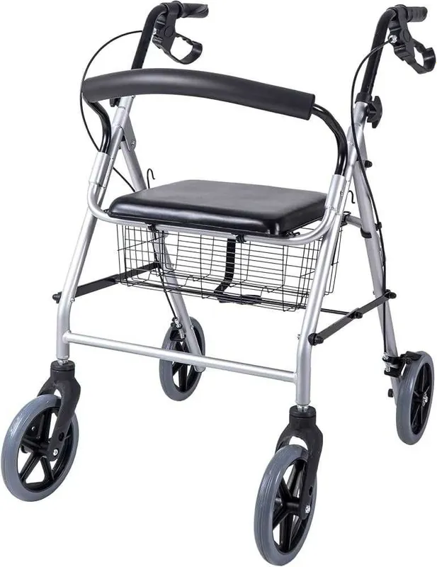Прогулочная коляска RIDDER Walker ECO для пожилых людей 1