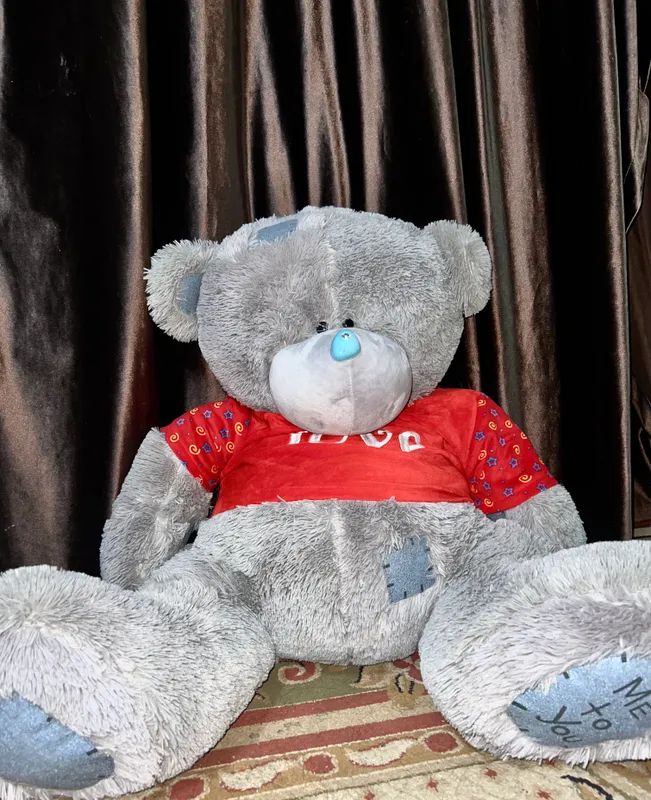 Мишка Teddy Новая