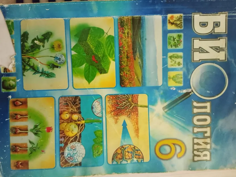 Biologiya bo‘yicha kitoblar 3 Biologiya bo‘yicha kitoblar 3