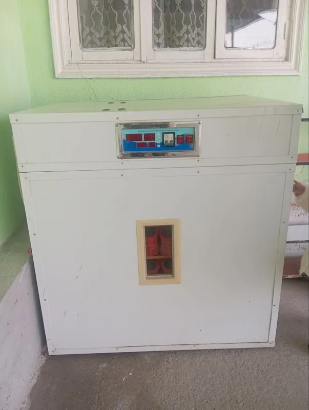 Inkubator. 600ta tuxum qoyiladi