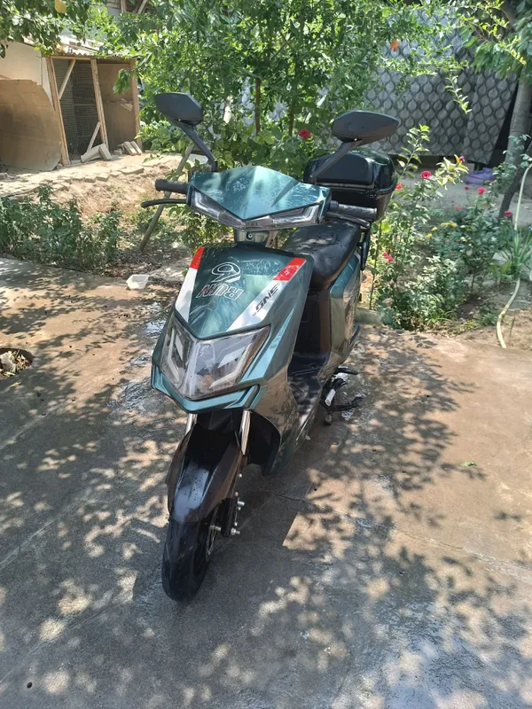 Korip minip korip olaverasiz